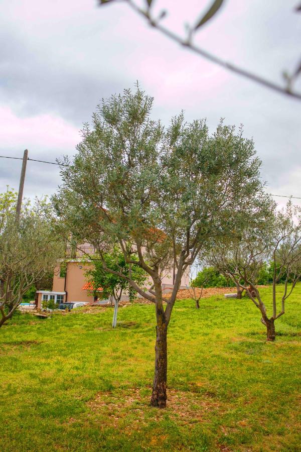 Casa Di Oliva-House With Heated Pool & Jacuzzi In Trilj, Croatia Villa Exterior foto
