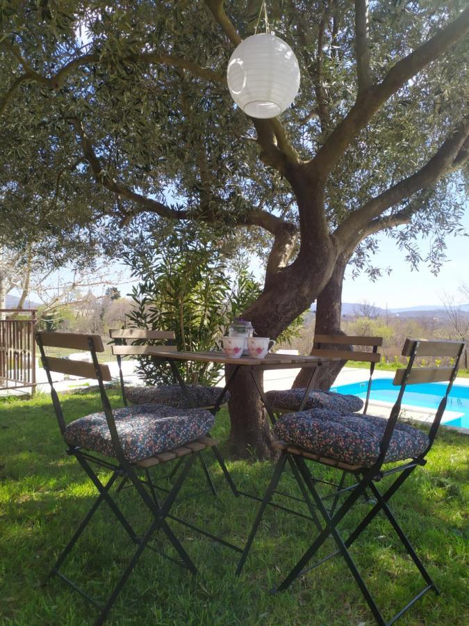 Casa Di Oliva-House With Heated Pool & Jacuzzi In Trilj, Croatia Villa Exterior foto